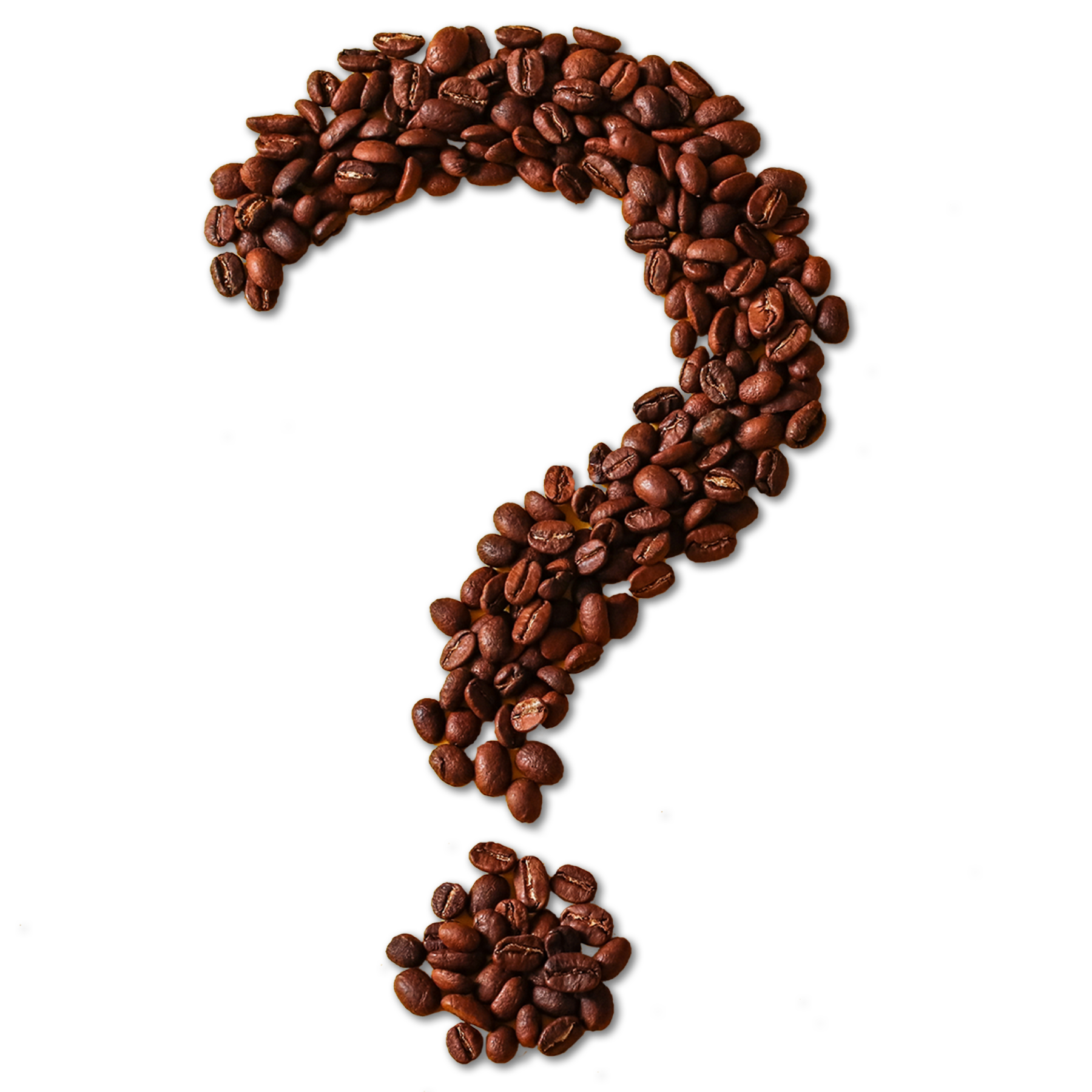 Roasters Choice Mystery Roast Coffee